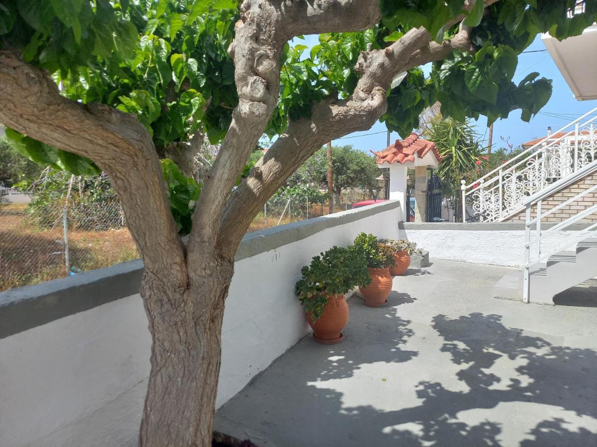 Mulberry House Hotell Elafonissos Exteriör bild